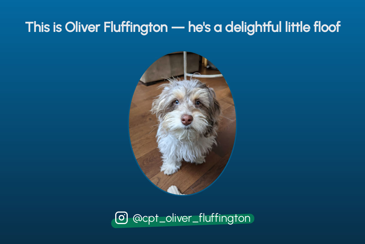 Resulting image from the accompanying HTML and CSS which contains a short headline stating "This is Oliver Fluffington - he's a delightful little fluff", an image of an adorable puppy, and reference to an Instagram handle for @cpt_oliver_fluffington